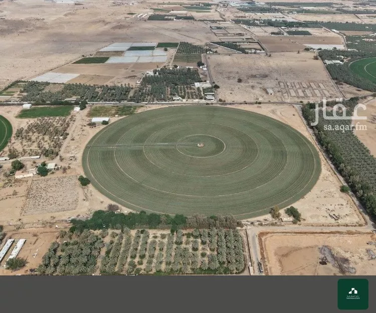مزرعة للبيع في شارع المنيصف 2006, مدينة الهياثم, منطقة الرياض صورة 5