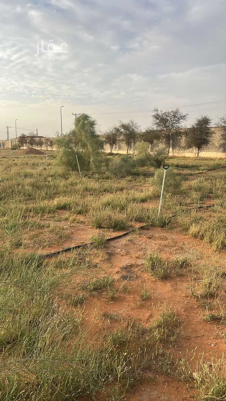 مزرعة للبيع في شارع 24467603, حي الساحبه ومزارعها, مدينة الساحبه ومزارعها, منطقة الرياض صورة 3