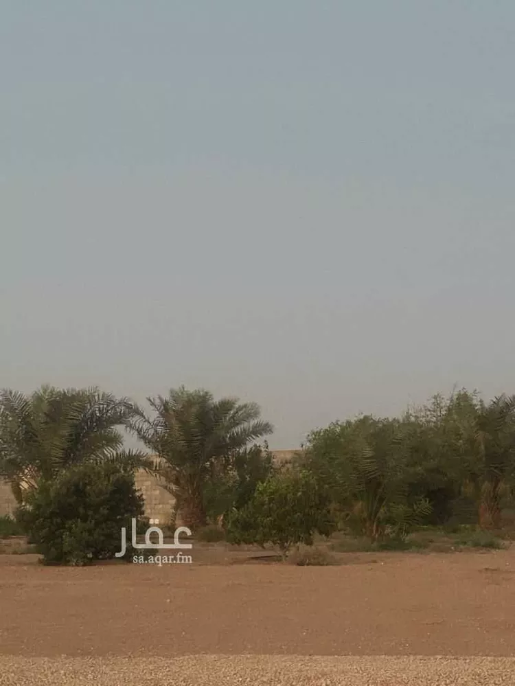 مزرعة للبيع في شارع 24467603, حي الساحبه ومزارعها, مدينة الساحبه ومزارعها, منطقة الرياض صورة 2