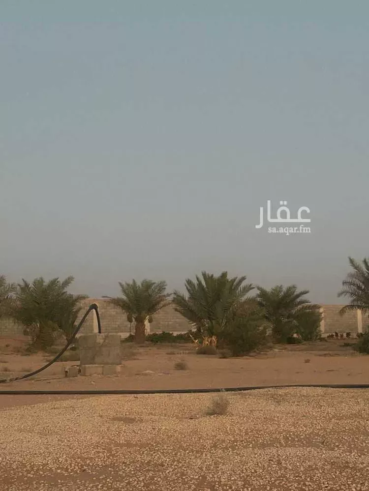 مزرعة للبيع في شارع 24467603, حي الساحبه ومزارعها, مدينة الساحبه ومزارعها, منطقة الرياض صورة 5
