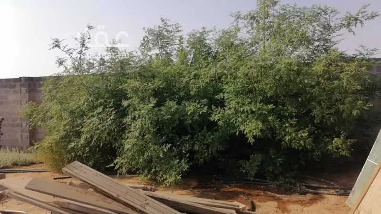 Farm for Sale in Riyadh Dirab 9