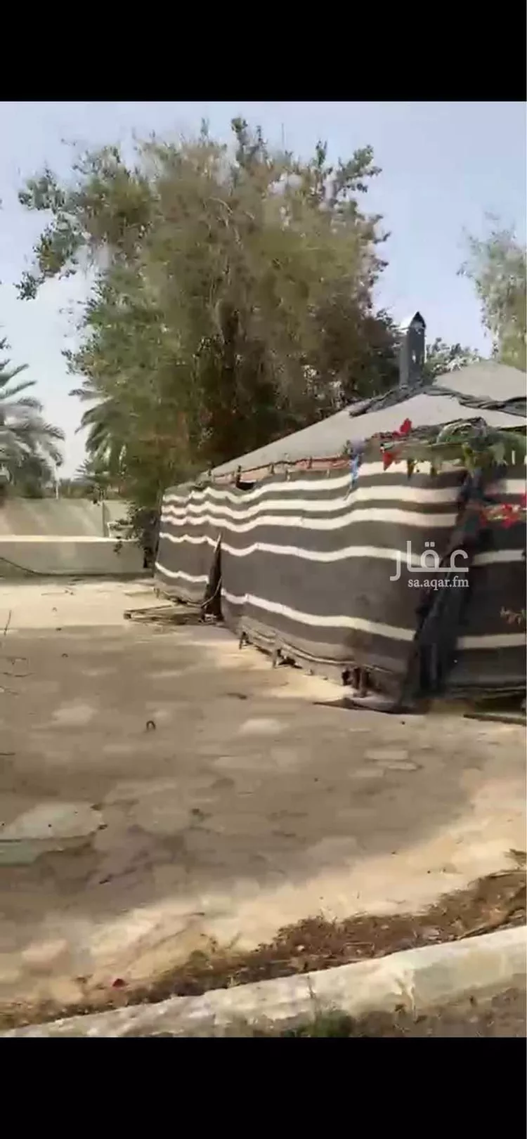 مزرعة للبيع في شارع ثابت ابن صهيب ابن كرز, حي مزارع ديراب, مدينة مزارع ديراب, منطقة الرياض صورة 4