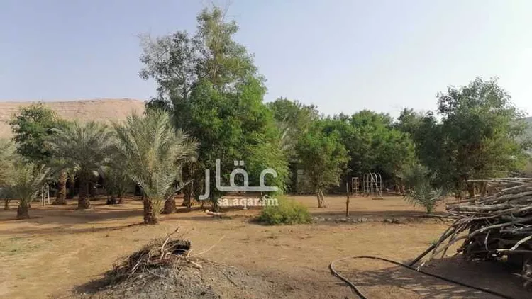 Farm for Sale in Riyadh Dirab 12