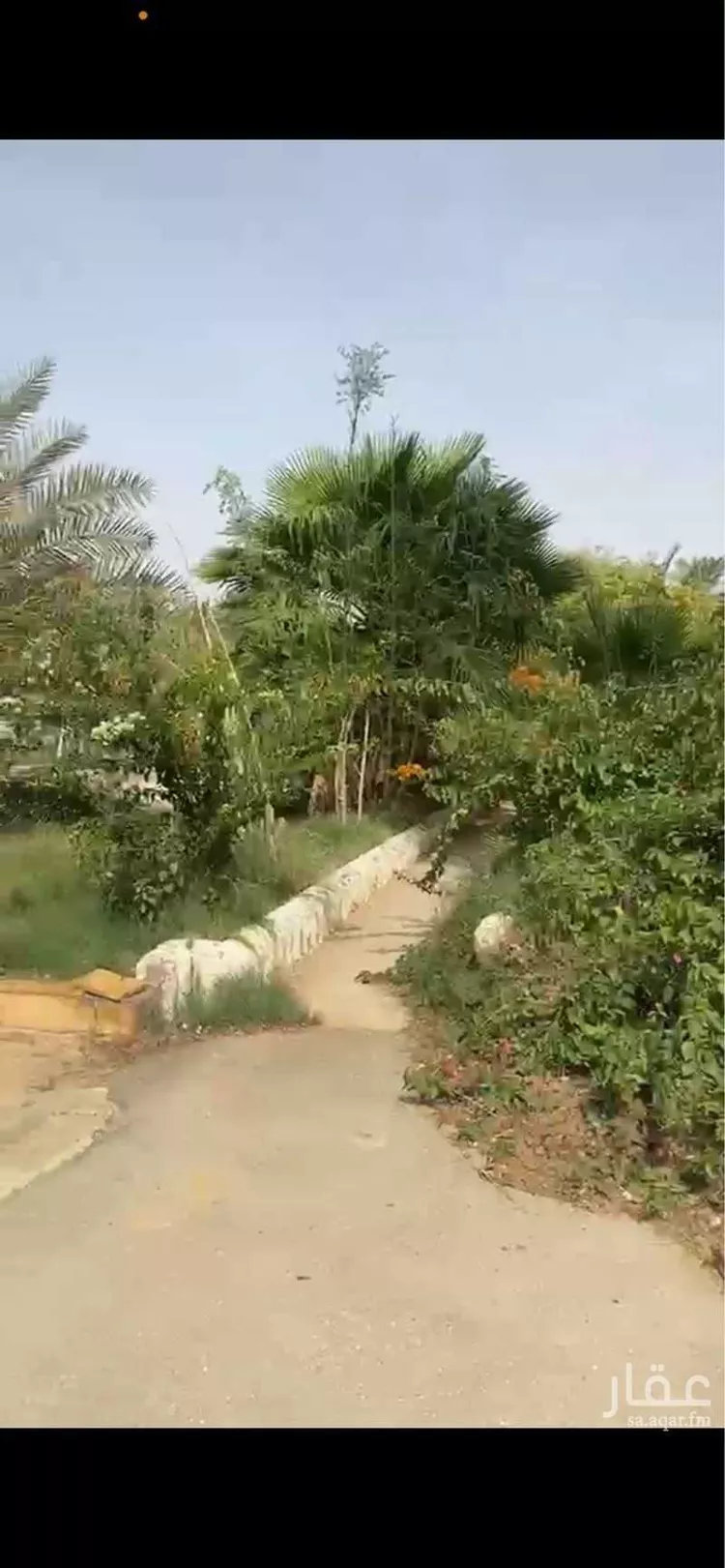 مزرعة للبيع في شارع ثابت ابن صهيب ابن كرز, حي مزارع ديراب, مدينة مزارع ديراب, منطقة الرياض