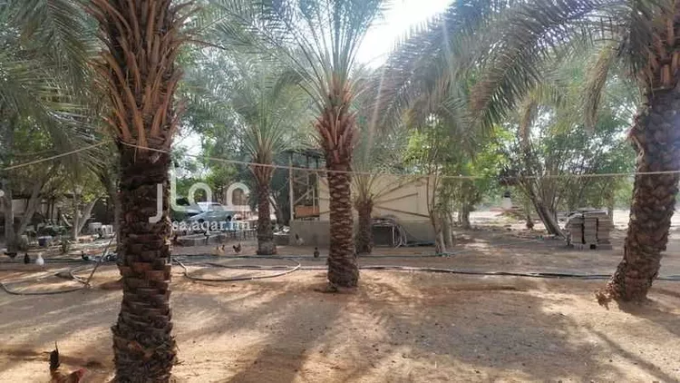 Farm for Sale in Riyadh Dirab 14