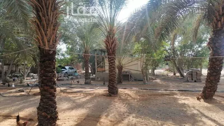 مزرعة للبيع في شارع الحوير, حي ديراب, مدينة الرياض, منطقة الرياض صورة 4