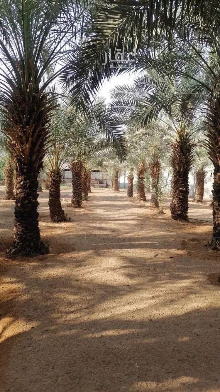 Farm for Sale in Riyadh Dirab 6
