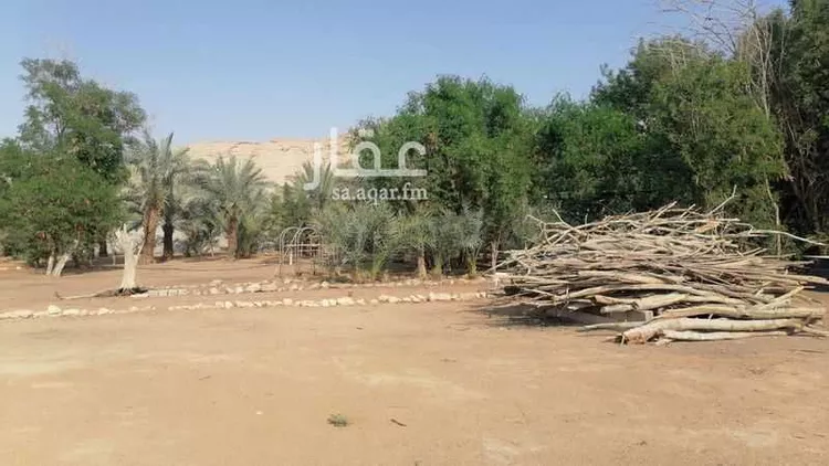 مزرعة للبيع في حي ديراب, مدينة الرياض, منطقة الرياض صورة 2