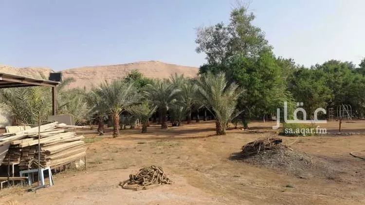 Farm for Sale in Riyadh Dirab 13