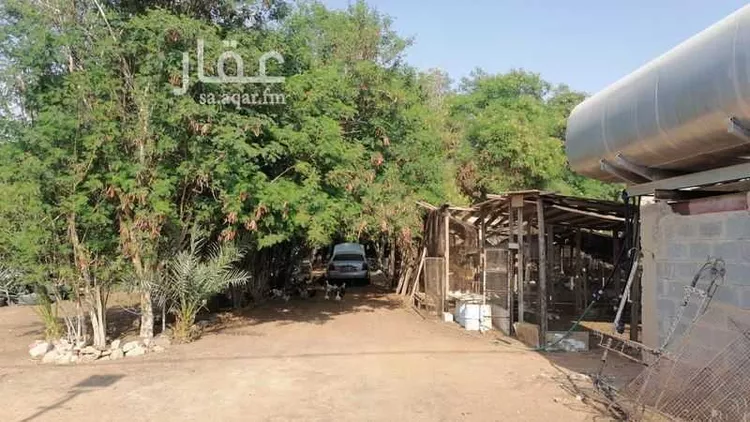 Farm for Sale in Riyadh Dirab 15