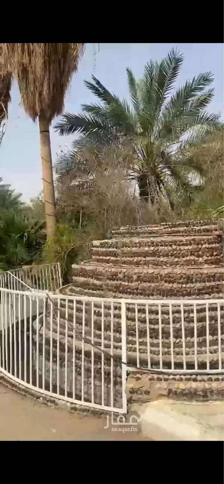 مزرعة للبيع في شارع ثابت ابن صهيب ابن كرز, حي مزارع ديراب, مدينة مزارع ديراب, منطقة الرياض صورة 5