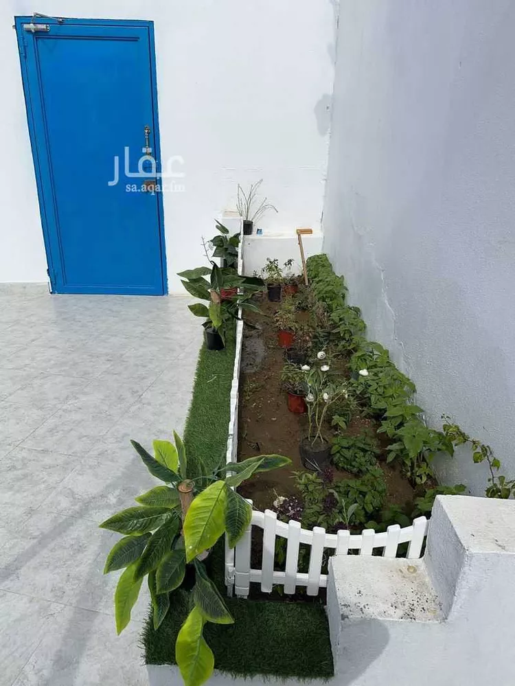 شاليه واستراحة للحجز في خميس مشيط ، خميس مشيط صورة 5
