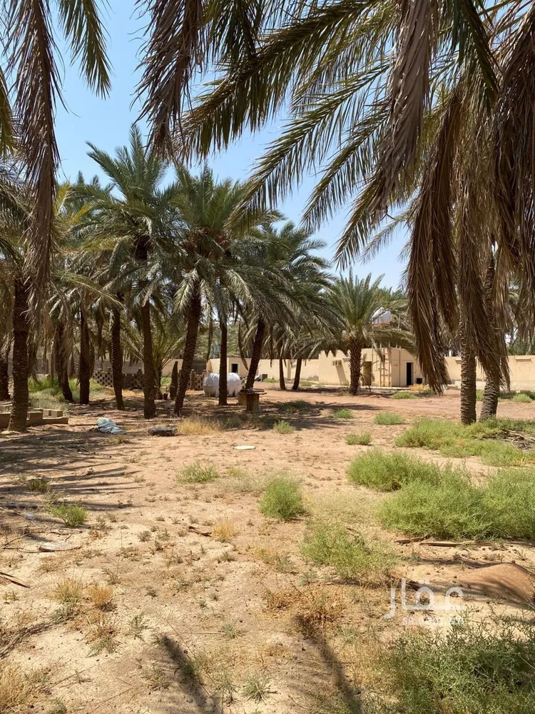 أرض للبيع في شارع حصن بيت الند, حي السويفلة الجديد, مدينة حائل, منطقة حائل صورة 3