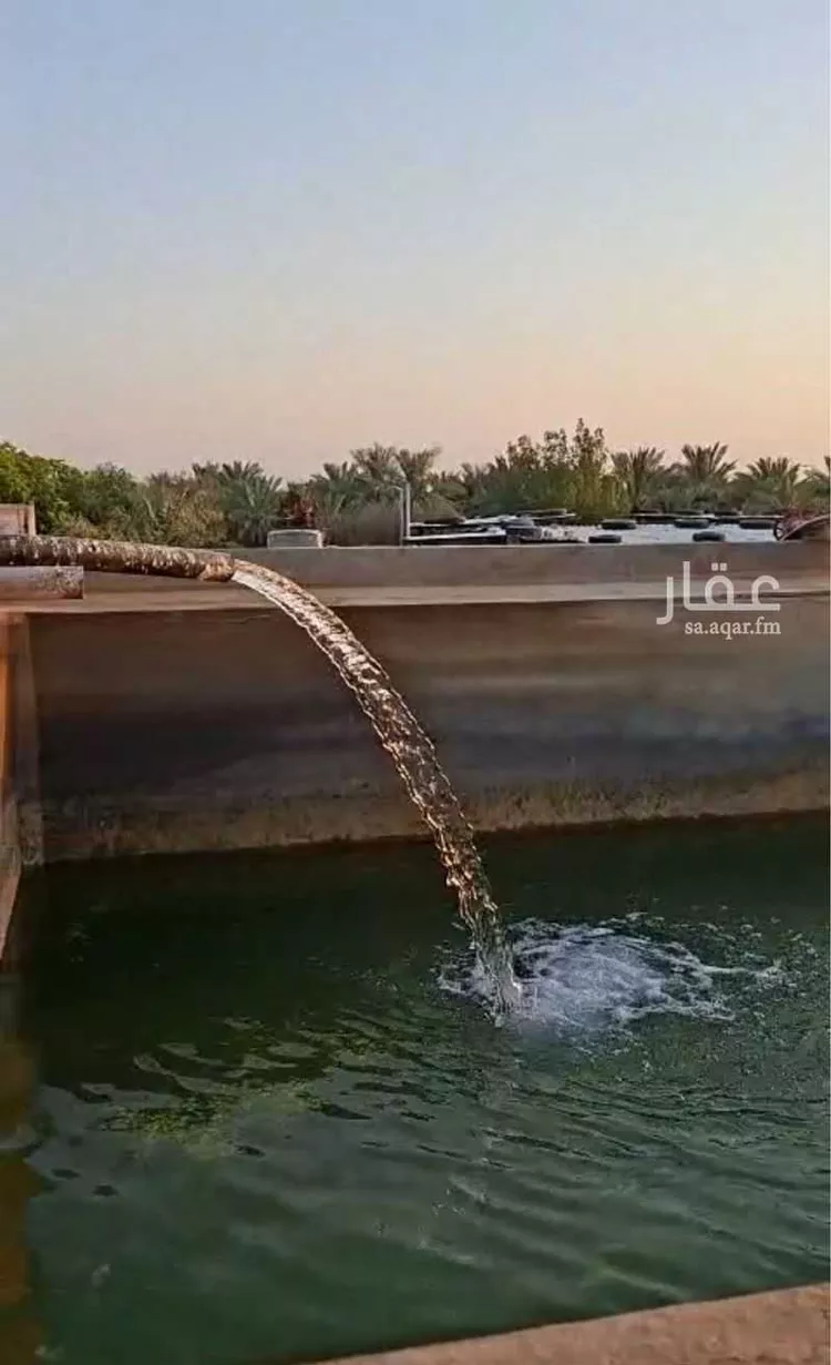 مزرعة للبيع في حي مزارع العبله, مدينة مزارع العبله, منطقة الرياض 7