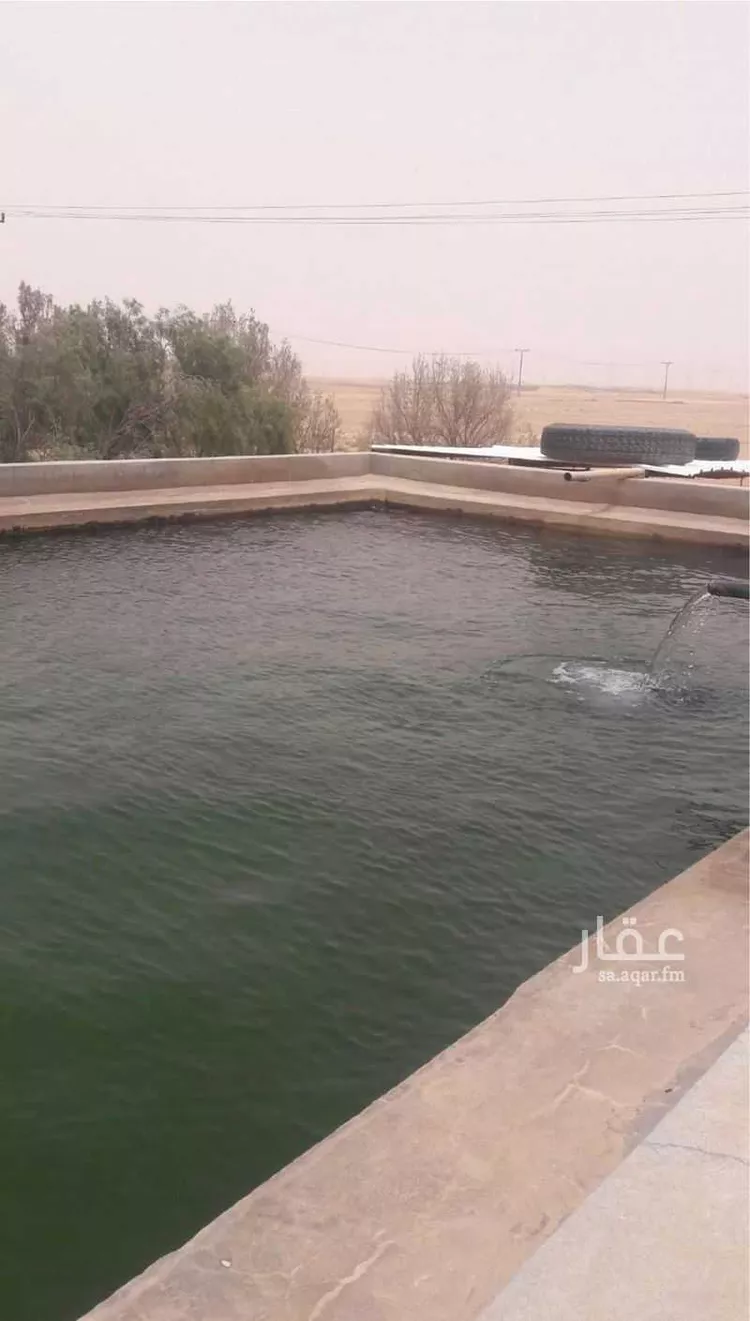 مزرعة للبيع في حي مزارع العبله, مدينة مزارع العبله, منطقة الرياض 6