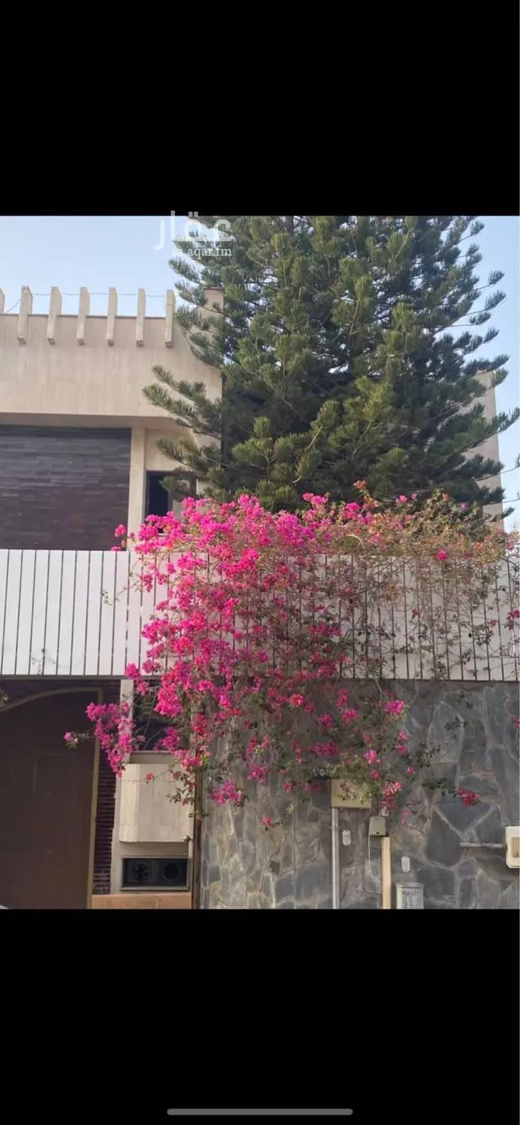 فيلا للإيجار في شارع ذكوان السلمي ، حي المعزاب ، خميس مشيط ، خميس مشيط صورة 5