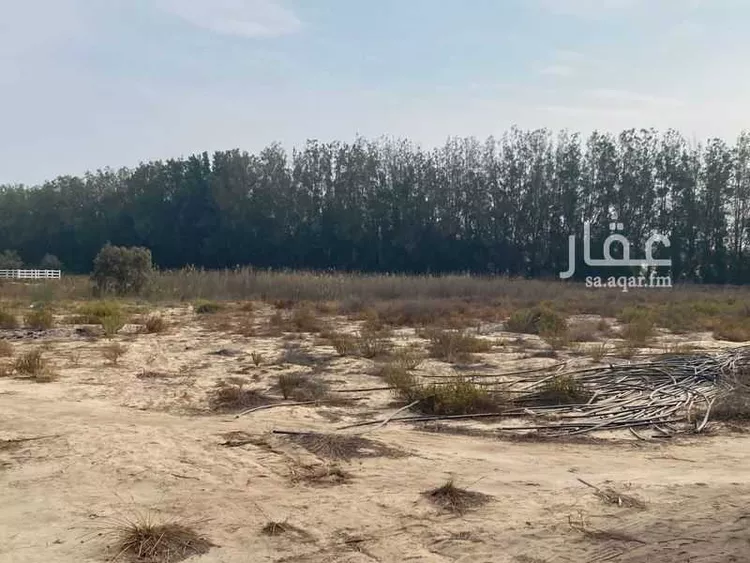 مزرعة للإيجار في شارع الخفجي, حي أبو معن, مدينة القطيف, المنطقة الشرقية صورة 3