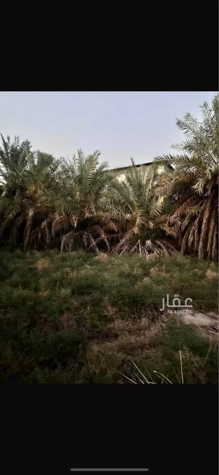 أرض للبيع في شارع الفرسان, حي أبو معن, مدينة القطيف, المنطقة الشرقية