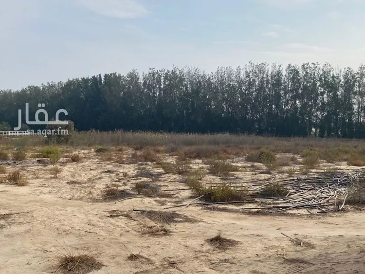 أرض للإيجار في حي مزرعه الصبيغاوى ومجموعه مزارع, مدينة مزرعه الصبيغاوى ومجموعه مزارع, المنطقة الشرقية صورة 4