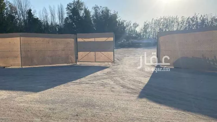 مزرعة للإيجار في شارع الخفجي, حي أبو معن, مدينة القطيف, المنطقة الشرقية صورة 4