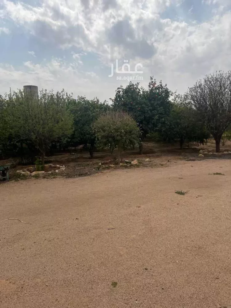 مزرعة للبيع في مدينة عيون الجواء, منطقة القصيم صورة 4