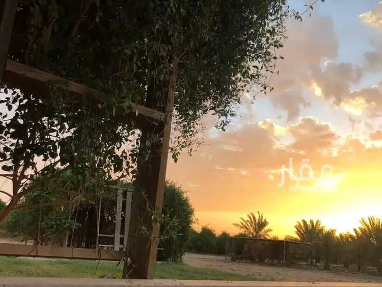 مزرعة للبيع في مدينة عيون الجواء, منطقة القصيم صورة 4