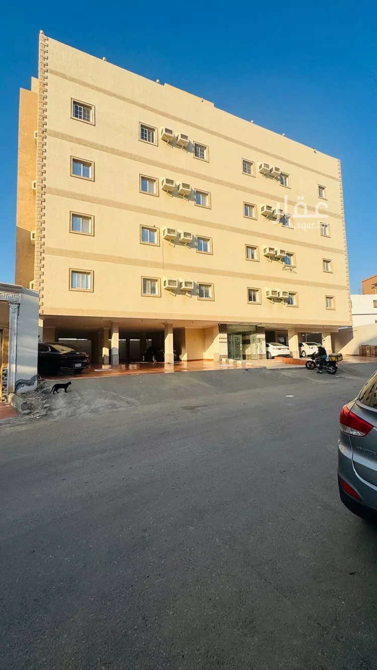 شقة للإيجار في شارع عبدالله العنابي, حي الريان, مدينة جدة, منطقة مكة المكرمة