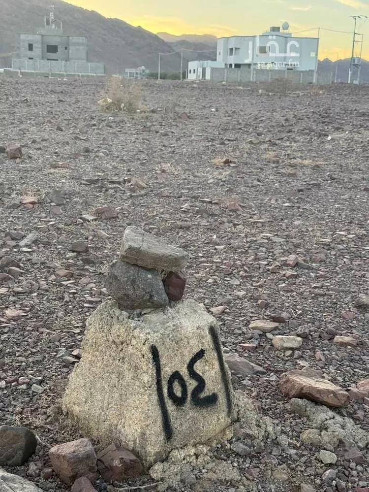 أرض للبيع في شارع محمد بن عبدالرحمن الدغولي, حي الصويدرة, مدينة المدينة المنورة, منطقة المدينة المنورة صورة 4