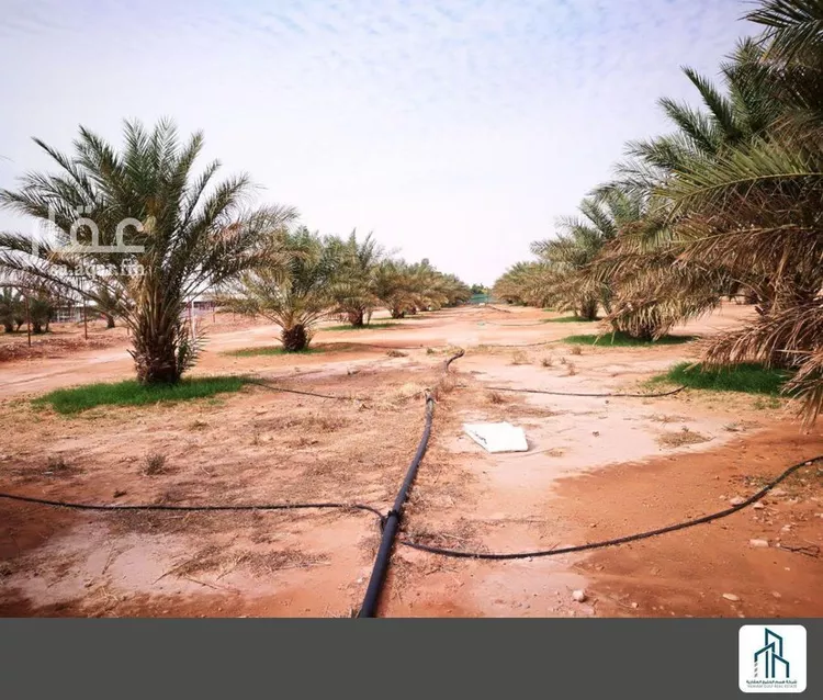 مزرعة للبيع في شارع ملهم 354, حي دقله, مدينة دقله, منطقة الرياض صورة 5