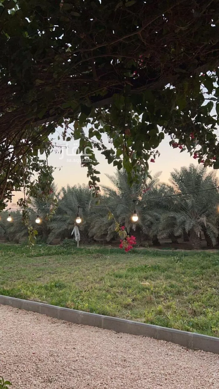 مزرعة للإيجار في حي الرفايع, مدينة الخرج, منطقة الرياض صورة 2
