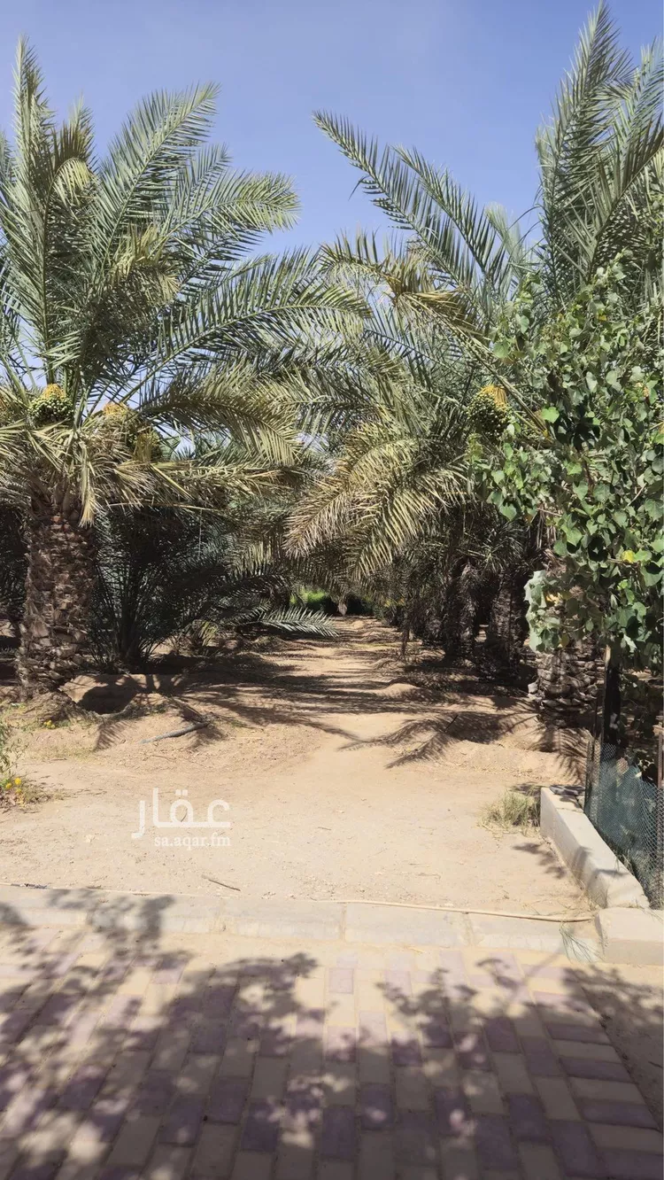 مزرعة للإيجار في حي الرفايع, مدينة الخرج, منطقة الرياض 19