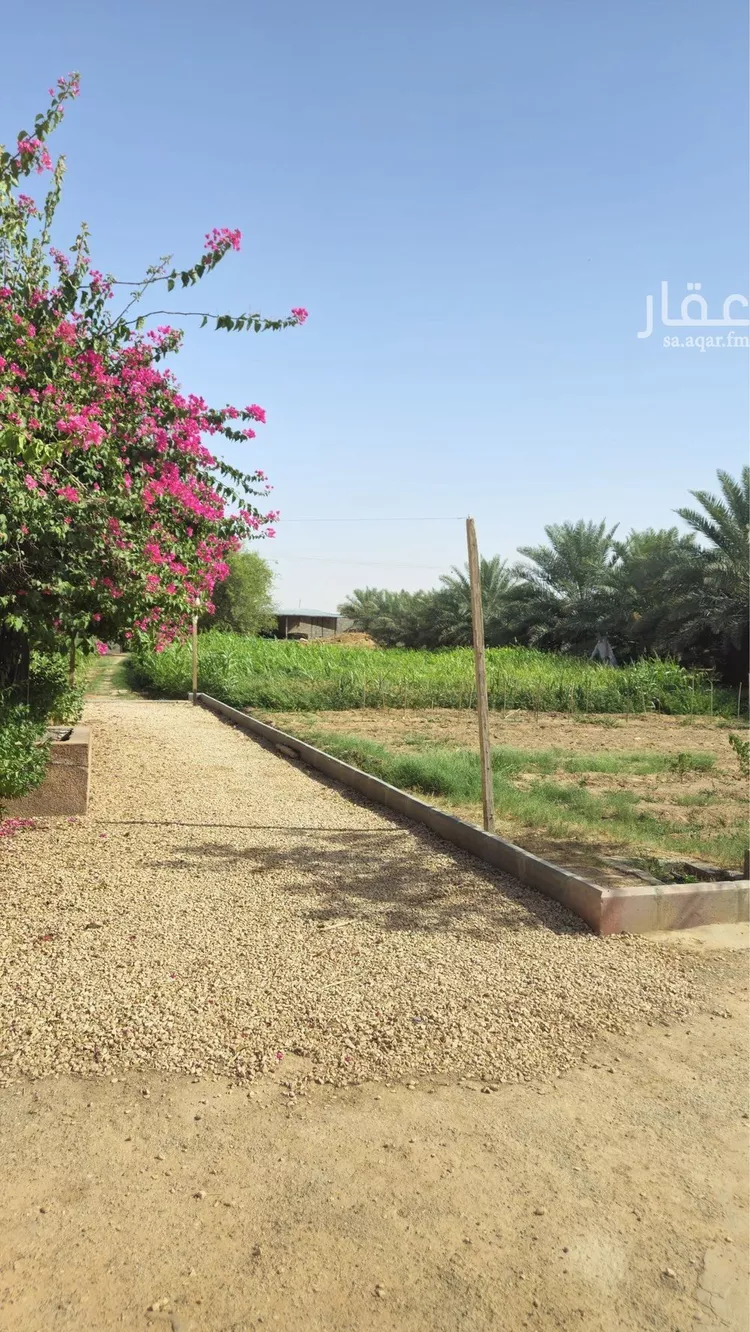 مزرعة للإيجار في حي الرفايع, مدينة الخرج, منطقة الرياض 17