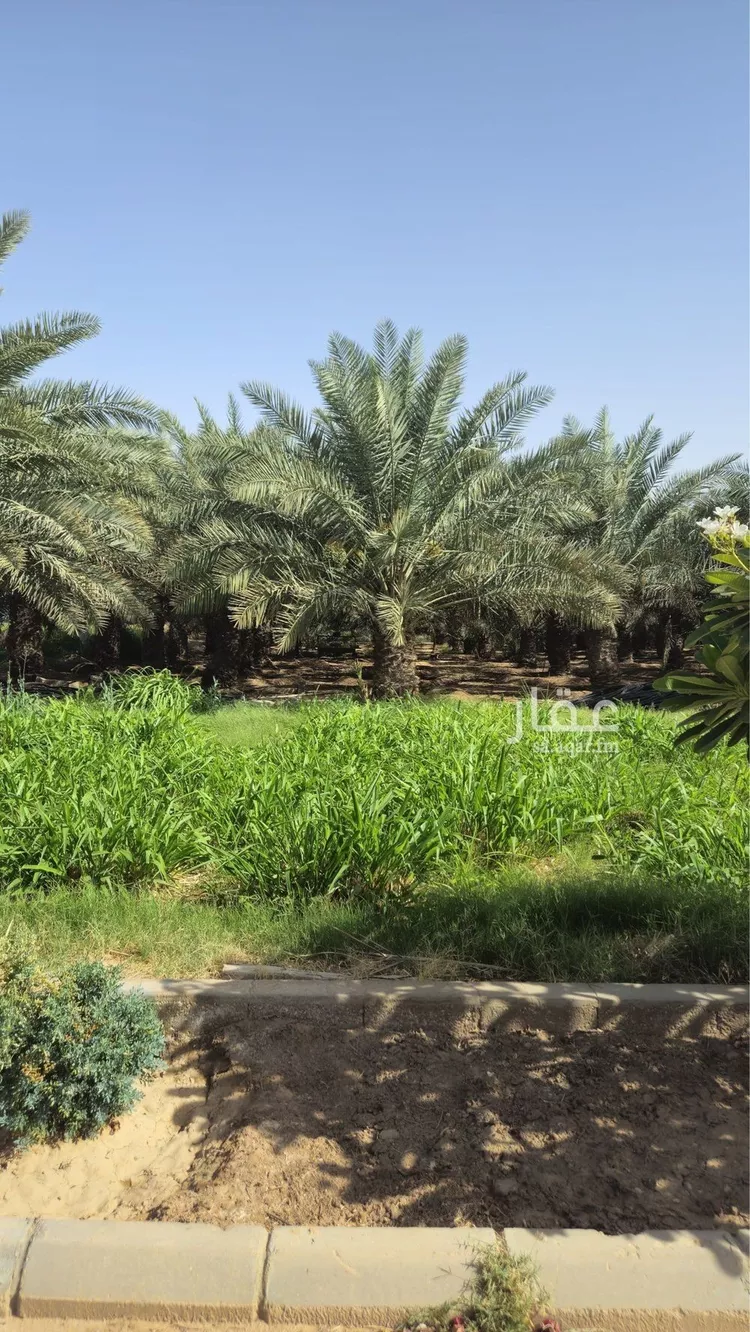 مزرعة للإيجار في حي الرفايع, مدينة الخرج, منطقة الرياض 22