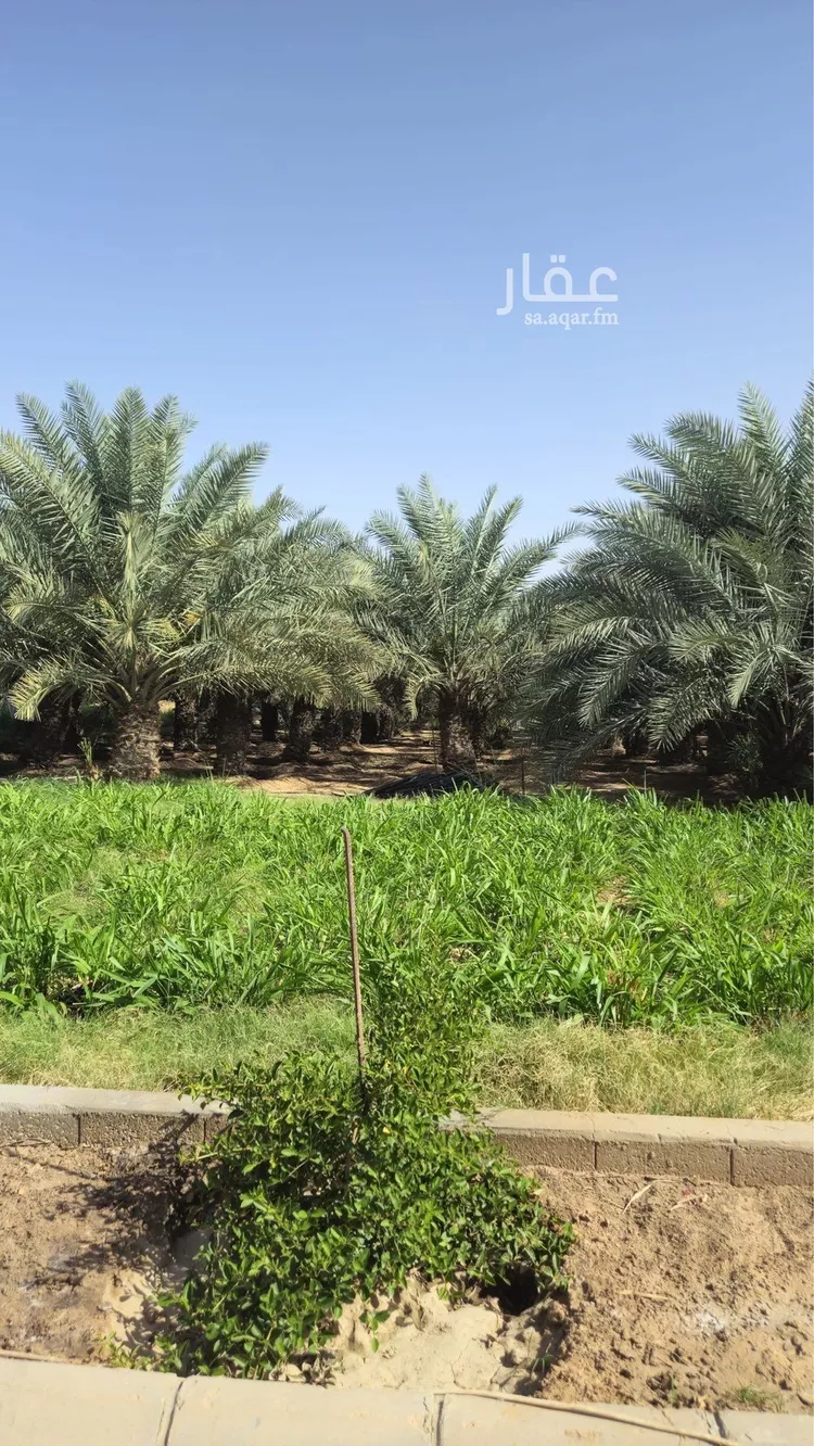 مزرعة للإيجار في حي الرفايع, مدينة الخرج, منطقة الرياض 18