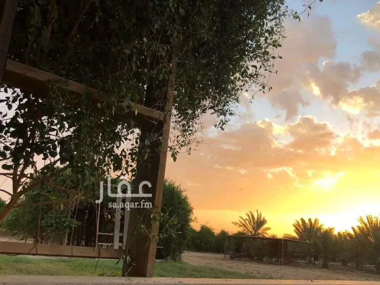 مزرعة للبيع في مدينة عيون الجواء, منطقة القصيم صورة 5