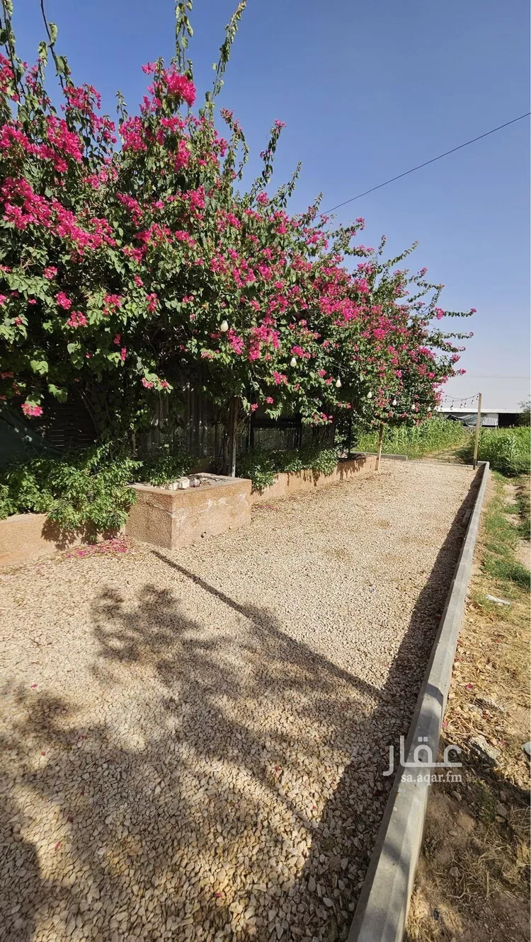 مزرعة للإيجار في حي الرفايع, مدينة الخرج, منطقة الرياض 21