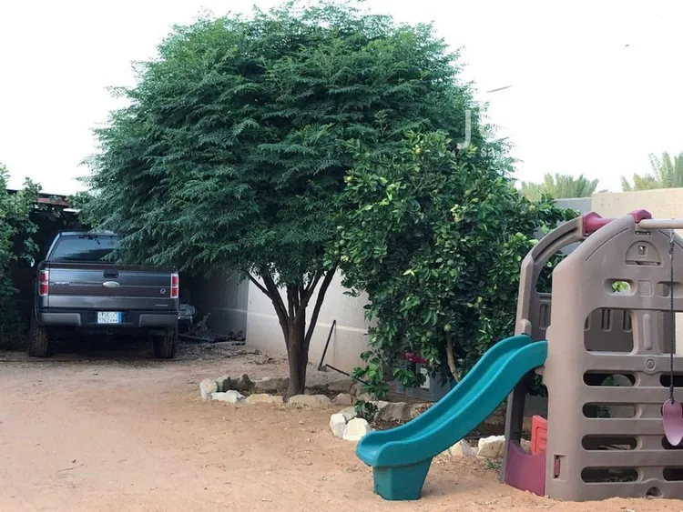 مزرعة للبيع في مدينة عيون الجواء, منطقة القصيم