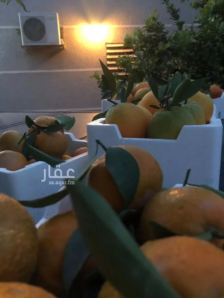 مزرعة للبيع في مدينة عيون الجواء, منطقة القصيم صورة 2