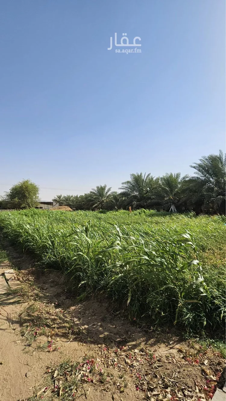 مزرعة للإيجار في حي الرفايع, مدينة الخرج, منطقة الرياض 20