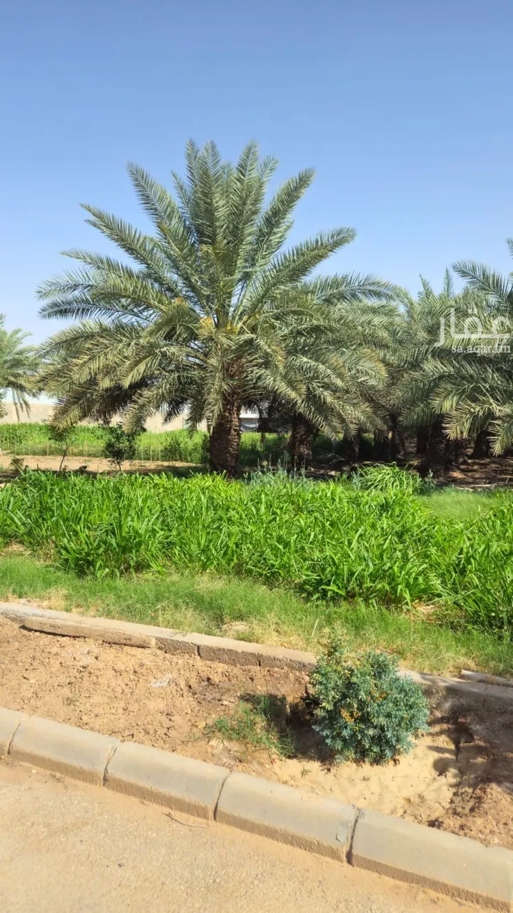 مزرعة للإيجار في حي الرفايع, مدينة الخرج, منطقة الرياض 11