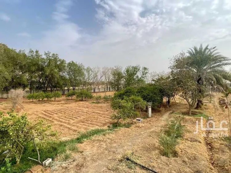 مزرعة للبيع في شارع الخوش 1852, مدينة بارق - العلكه, منطقة عسير صورة 3