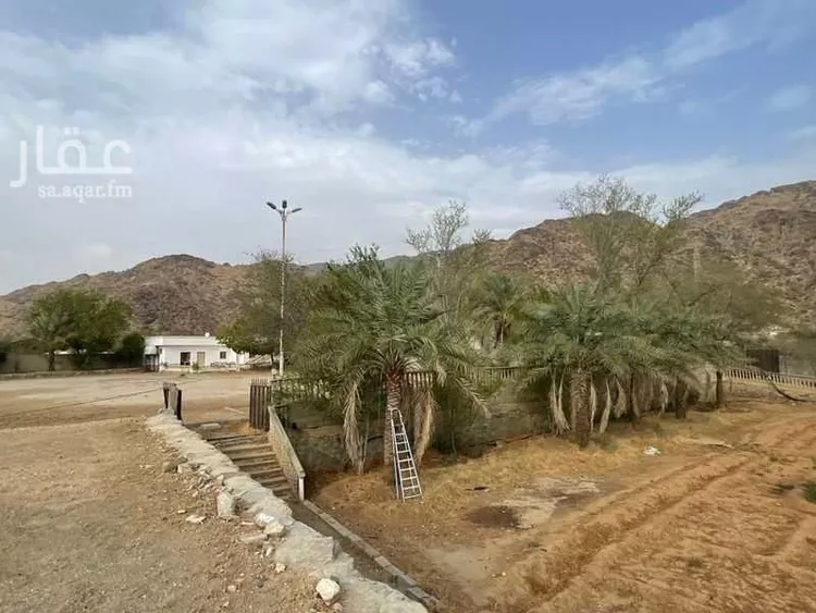 مزرعة للبيع في شارع الخوش 1852, مدينة بارق - العلكه, منطقة عسير صورة 4