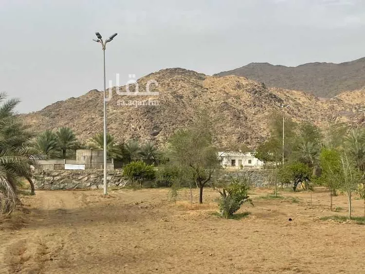 مزرعة للبيع في شارع الخوش 1852, مدينة بارق - العلكه, منطقة عسير