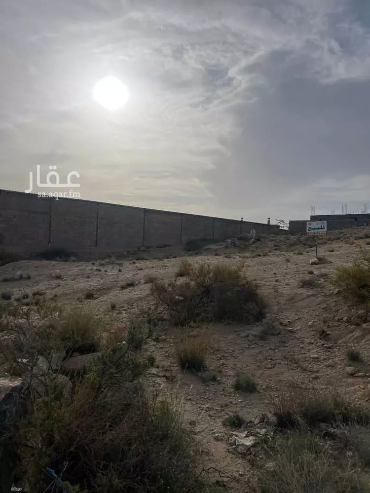 أرض للبيع في شارع حمزة بن الحمير, حي الربوة, مدينة خميس مشيط, منطقة عسير