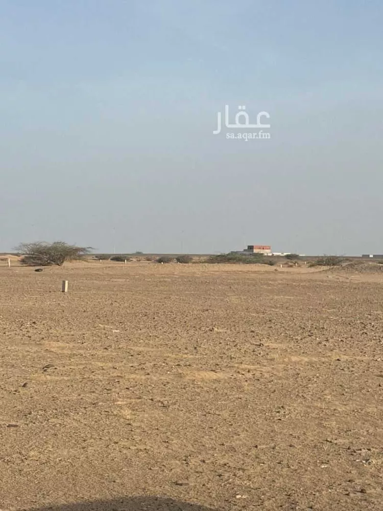 أرض للبيع في شارع أم سدرة , حي أم سدرة, مدينة جدة, منطقة مكة المكرمة 8