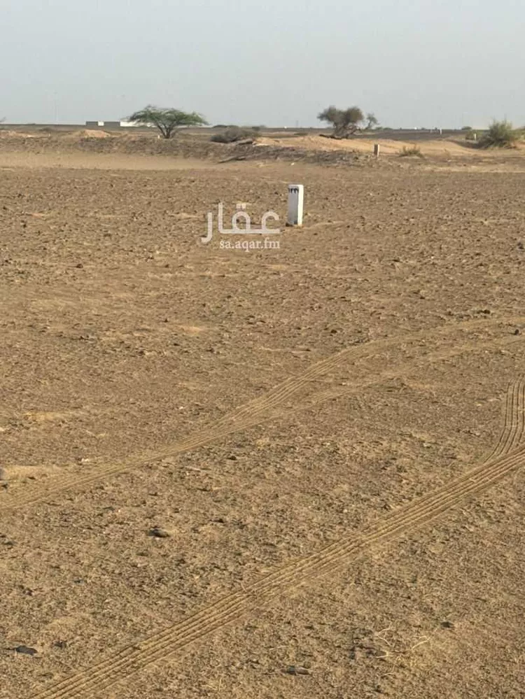أرض للبيع في شارع أم سدرة , حي أم سدرة, مدينة جدة, منطقة مكة المكرمة صورة 5