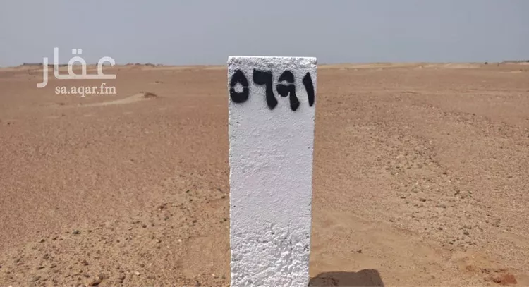 أرض للبيع في شارع البوادر , حي البوادر, مدينة جدة, منطقة مكة المكرمة صورة 3