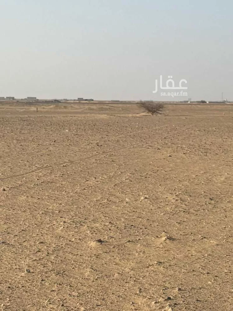 أرض للبيع في شارع أم سدرة , حي أم سدرة, مدينة جدة, منطقة مكة المكرمة 7