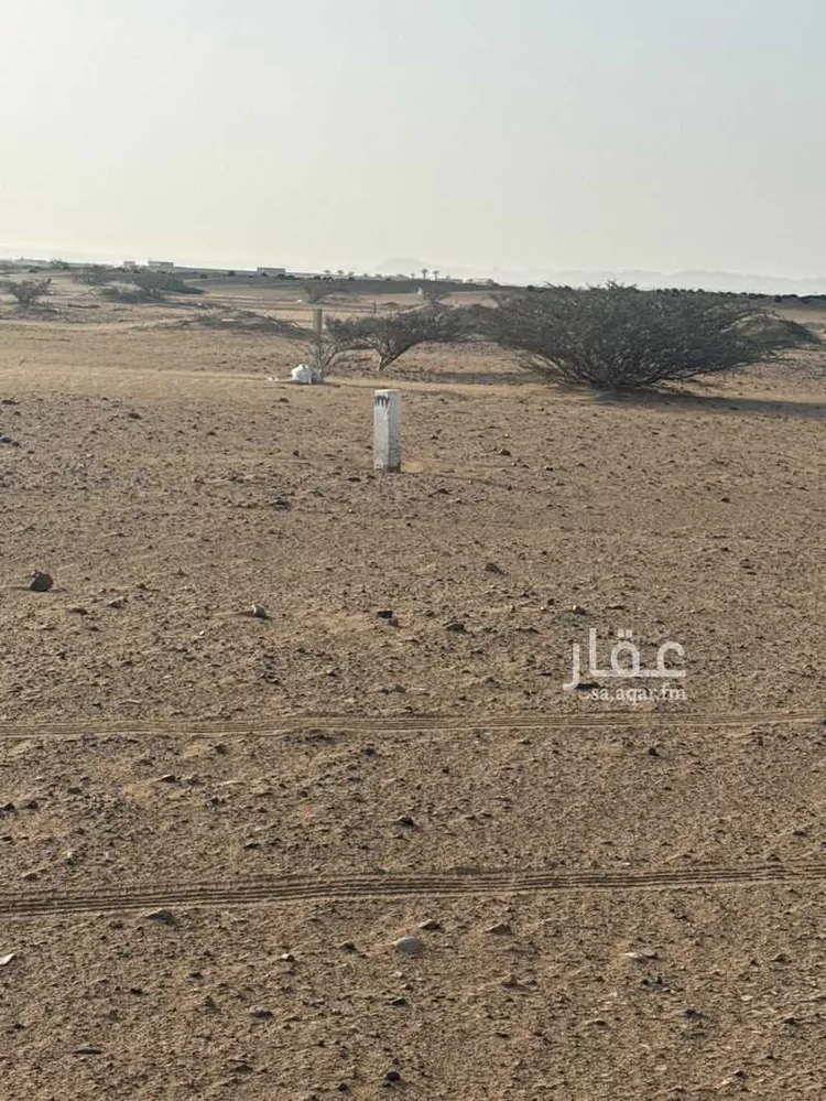 أرض للبيع في شارع أم سدرة , حي أم سدرة, مدينة جدة, منطقة مكة المكرمة صورة 3