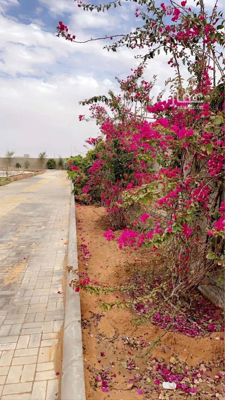 مزرعة للبيع في مدينة ضرما, منطقة الرياض 11